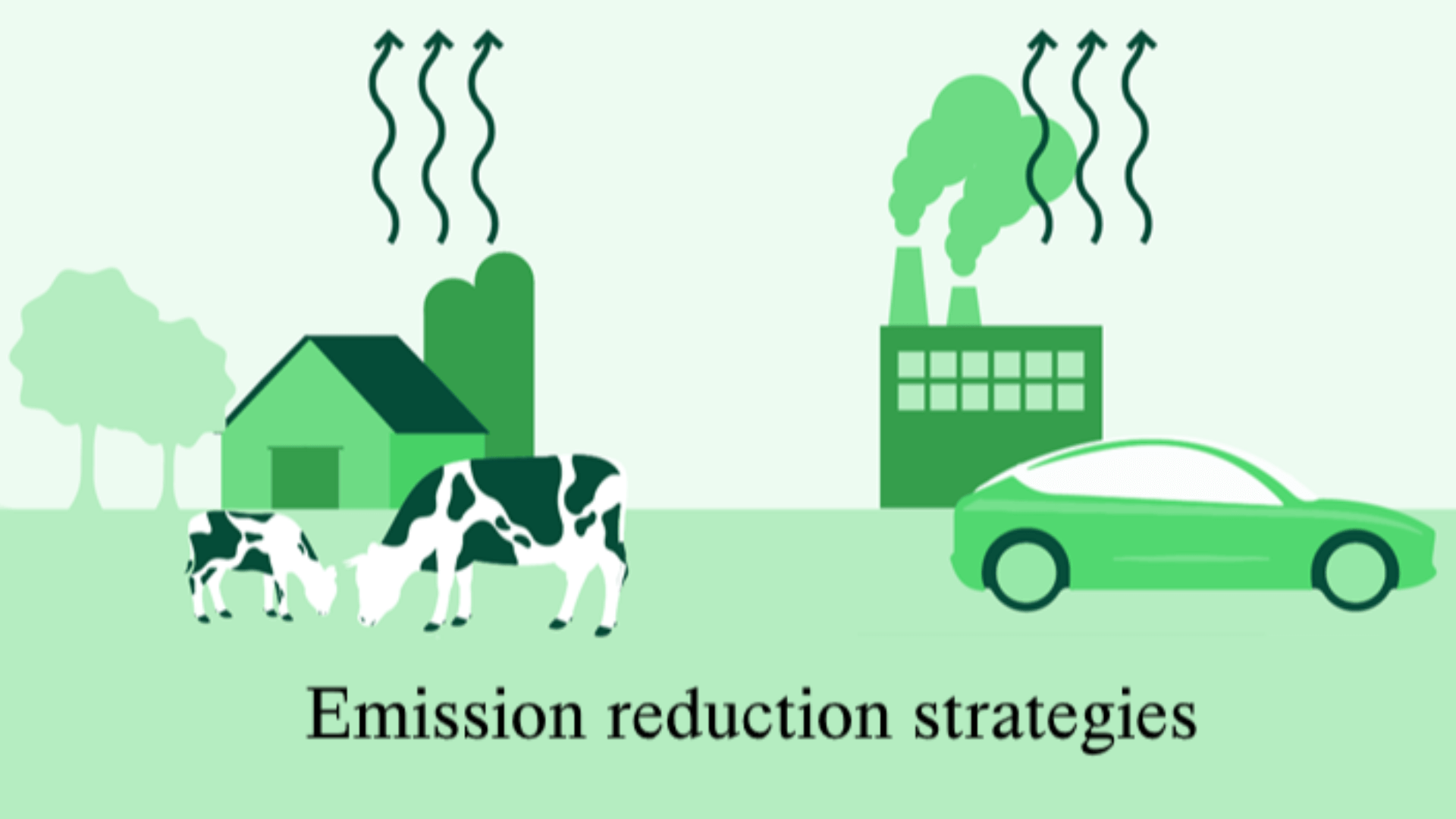 Stikstof emissiereductie strategie infographic